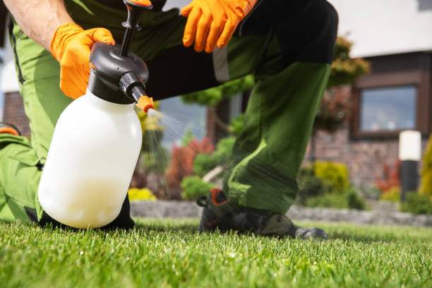 Best Emergency Pest Control  in Mount Pleasant, TX