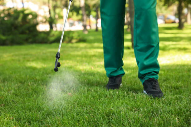 Trusted Mount Pleasant, TX Pest Control Experts