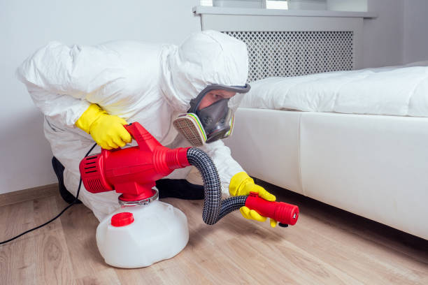 Best Exterminator Services  in Mount Pleasant, TX