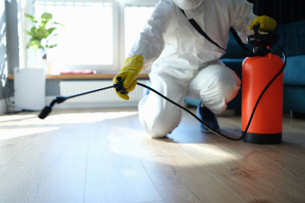 Best Pest Prevention Services  in Mount Pleasant, TX