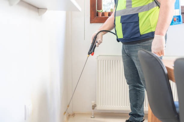 Best Affordable Pest Control Services  in Mount Pleasant, TX