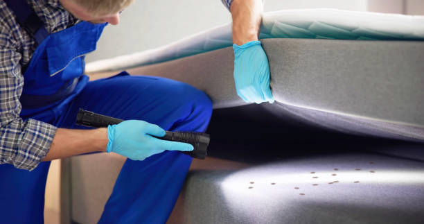 Best Best Pest Control Companies  in Mount Pleasant, TX