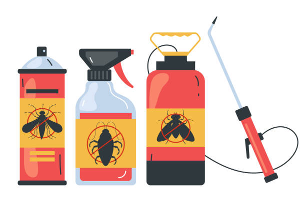 Best Best Pest Control Companies  in Mount Pleasant, TX