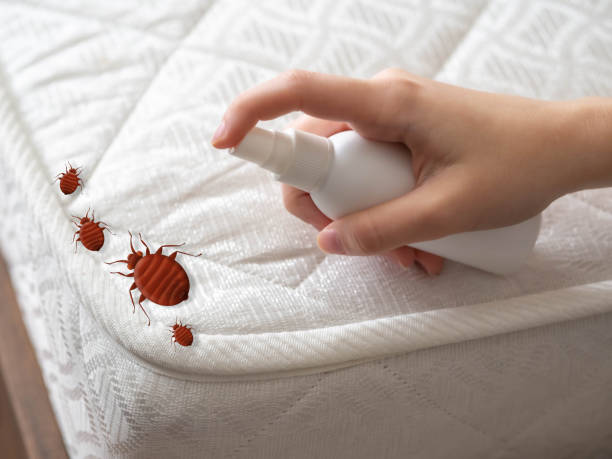 Best Pest Control for Businesses  in Mount Pleasant, TX